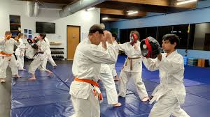 Image result for Awesome Martial Arts Training Center
