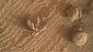 Image result for mars anomalies