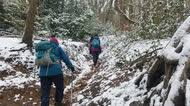 Image result for Mid Surrey Ramblers