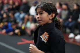 Image result for Villatoro Bushido Martial Arts