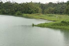 Image result for 仁義#X68