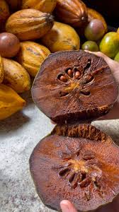 Attēlu rezultāti vaicājumam “Cinna latifolia fruit”