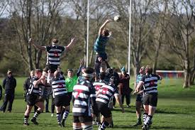 Image result for Sutton & Epsom Rugby Football Club