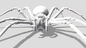 Attēlu rezultāti vaicājumam “Agelenidae”