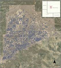 Image result for jonah gas field