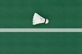 Image result for Struttles Badminton Club
