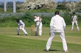 Image result for Arthington Cricket Club