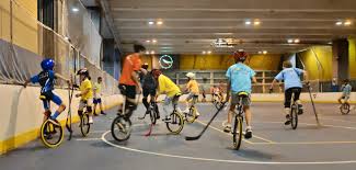 Image result for Southampton Unicycle Hockey