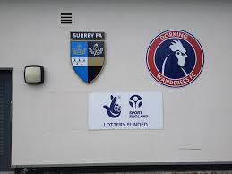Image result for Dorking Wanderers F C