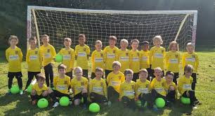 Image result for Mytchett Athletic Football Club