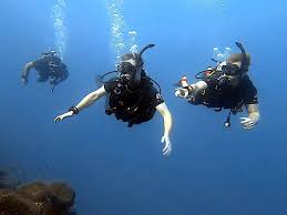 Image result for Scuba Fun