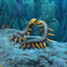 Attēlu rezultāti vaicājumam “Anogcodes melanurus”