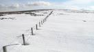 Pringles Green. A nearly buried march fence in the bogland north of - via Daymix