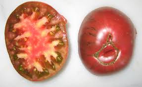 Afbeeldingsresultaat voor dark purple beefsteak tomato