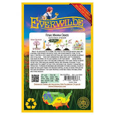 Attēlu rezultāti vaicājumam “Glyceria striata fruit”