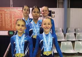 Image result for Tamworth Olympic Gymnastics Club