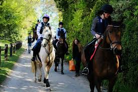 Image result for Palmers Riding Stables