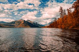 Attēlu rezultāti vaicājumam “Libanotis montana leaf”