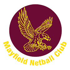 Image result for Flava Netball Club