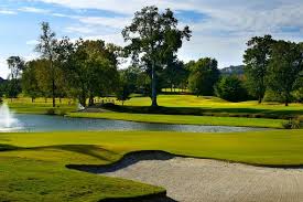 Image result for Brentwood Tc