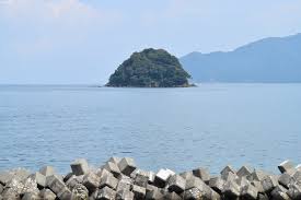 「青島蒼一」の画像検索結果