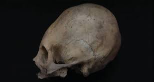 Image result for elongated skulls