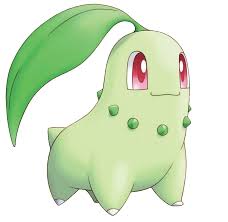 Image result for Endivie