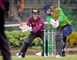 Image result for Pontarddulais Cricket Club