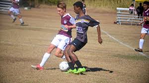 Image result for Warwick Wolves