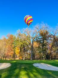 Image result for New Northampton Club