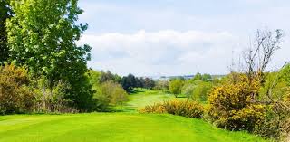 Image result for Falkirk Tryst Golf Club