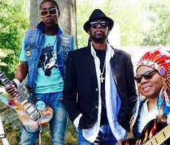 Attēlu rezultāti vaicājumam “Bryum funkii”