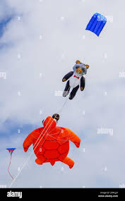 Image result for Kite Club of Scotland