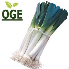 Image result for Porree