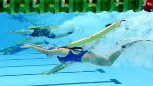 Image result for Swansea Finswimming Club