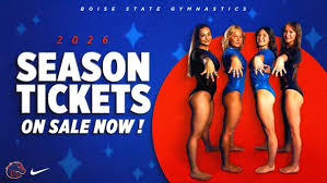 Image result for Tessaro Gymnastics Club