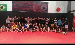 Image result for Cardiff Mma