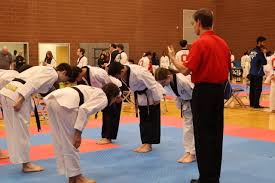 Image result for York University Taekwondo Club