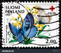 Attēlu rezultāti vaicājumam “Agrodiaetus amandus”