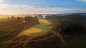 Image result for Hankley Common Golf Club