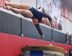Image result for Wyre Forest School Of Gymnastics