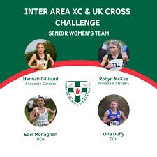 Image result for Annadale Striders Ac