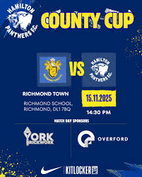 Image result for Hamilton Panthers Association Football Club