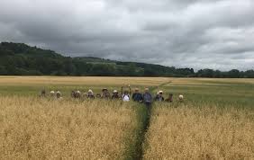 Image result for EXETER RAMBLING CLUB