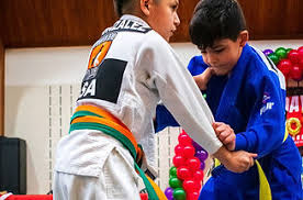Image result for Arun Southcoast Judo Club.