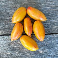 Afbeeldingsresultaat voor blushing yellow tomato