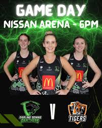 Image result for The Downs Netball Club