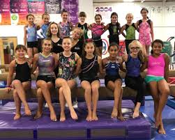 Image result for Custom Gymnastics Club
