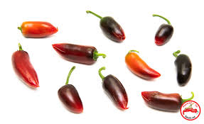 Afbeeldingsresultaat voor biker billy jalapeno hot pepper