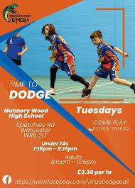 Image result for Bewdley Virtue Dodgeball Club